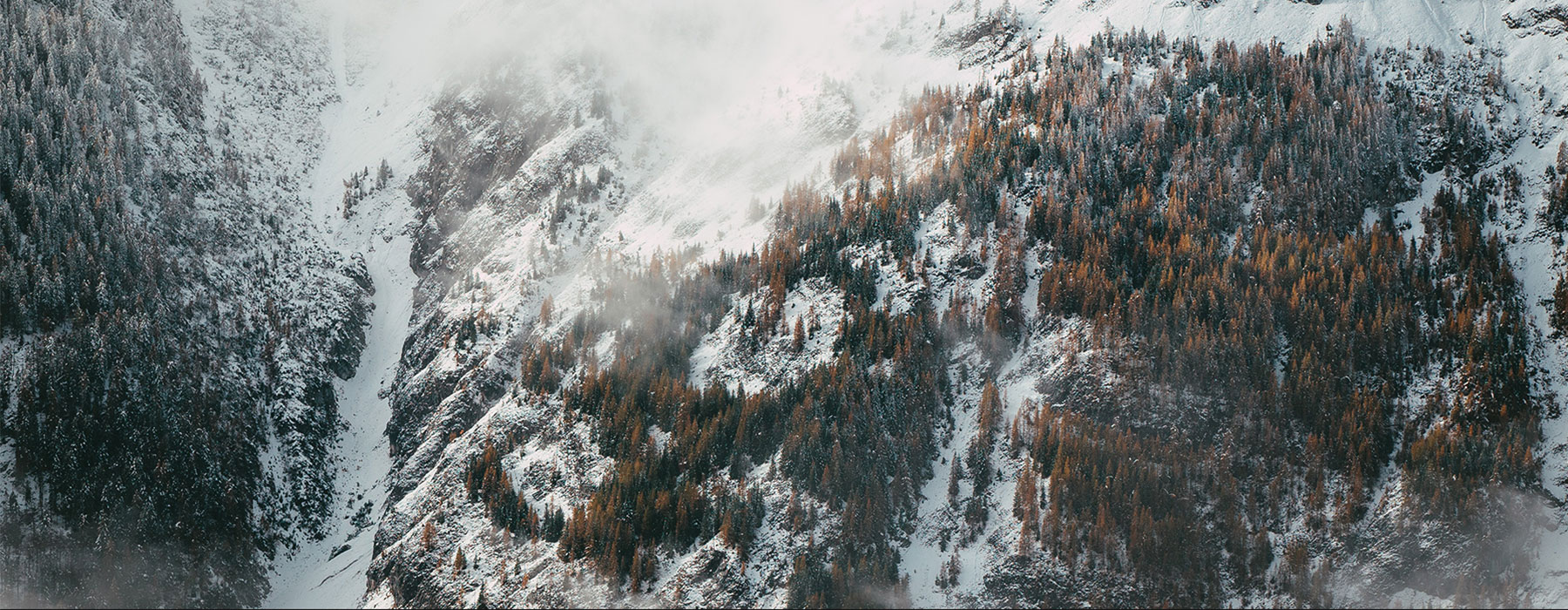 Jan kronies vveK8fSO9TA unsplash